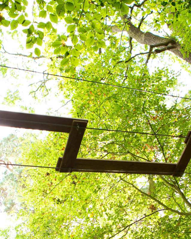 Test your agility with the treetop adventure and zip lines at Go Ape