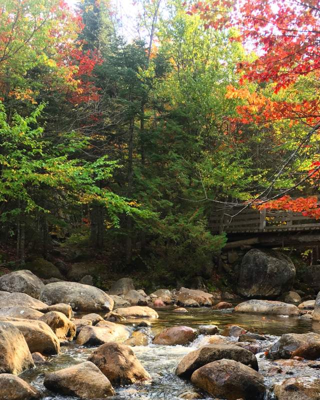Copy of Baxter State Park in the Fall