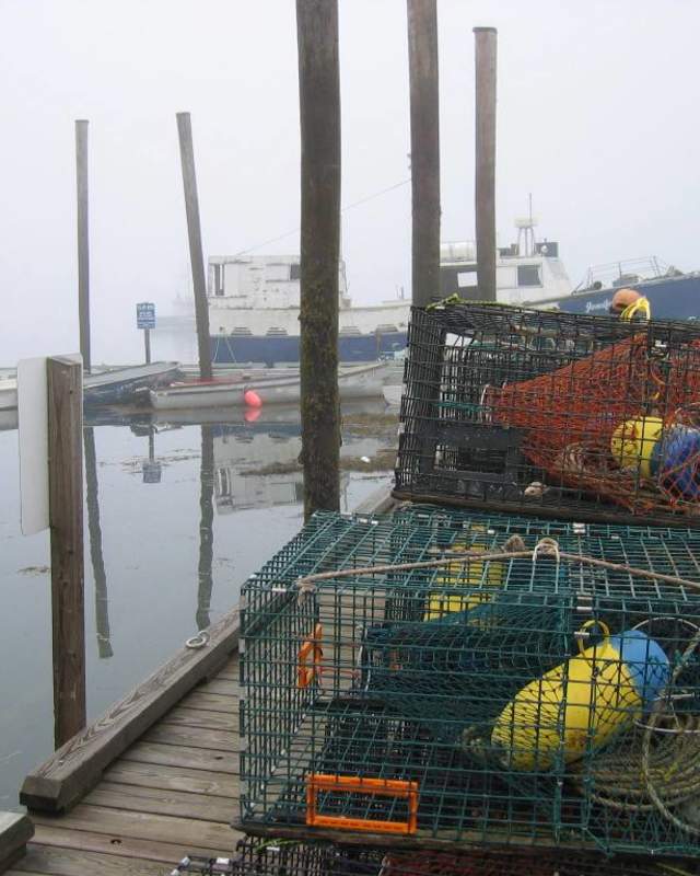 Lobster Traps