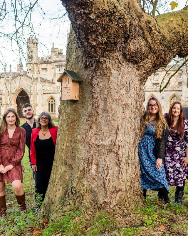 A group team photos of us all smiling around a tree