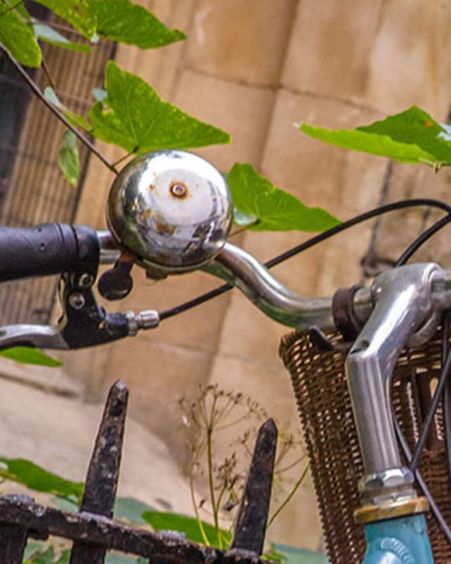 A bicycle against a railing with foliage in Cambridge.