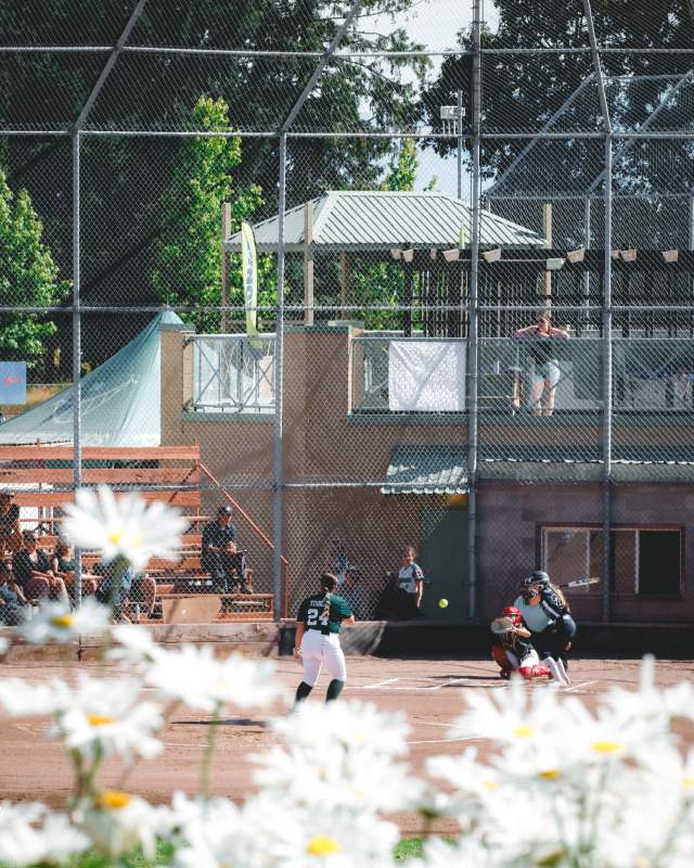 Softball Vertical Image