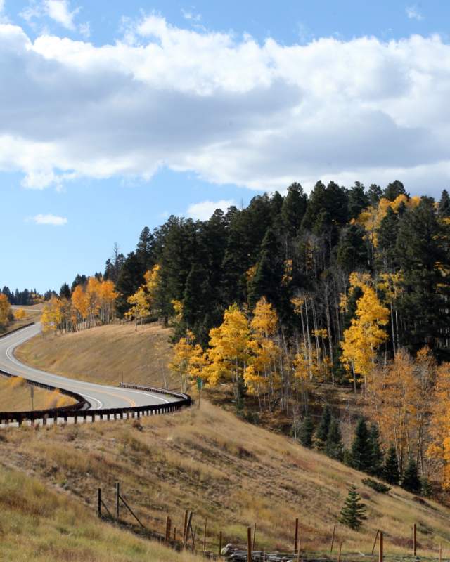 Leaves changing color along the High Road to Taos Scenic Byway in New Mexico