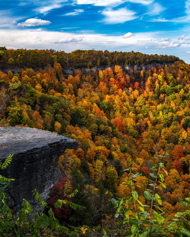 View from John Boyd Thacher State Park with cliff overlook, vibrant autumn foliage, expansive forest valley, and blue sky with clouds in the distance.