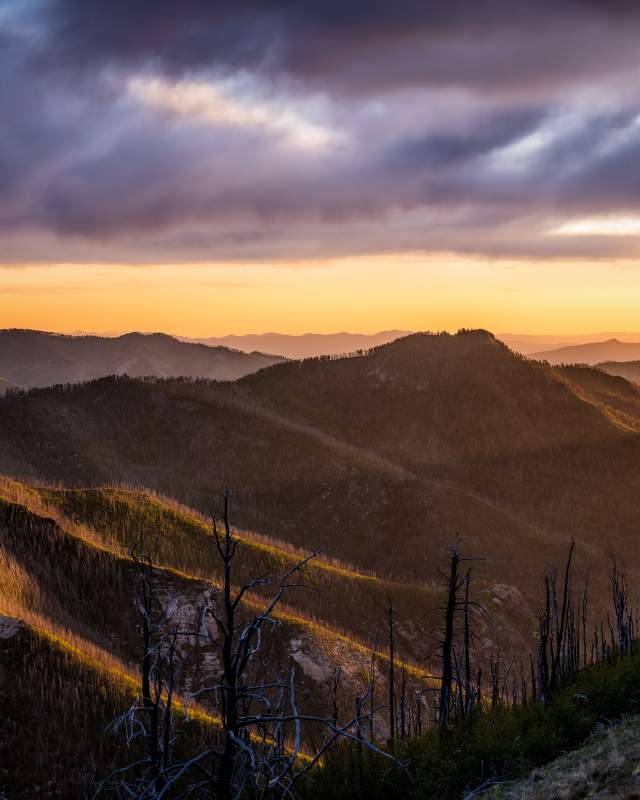 The Gila Wilderness is one of the few places where fire is allowed to play its natural role.