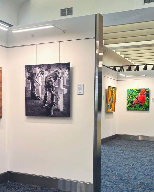 Rooted Connection Art Gallery