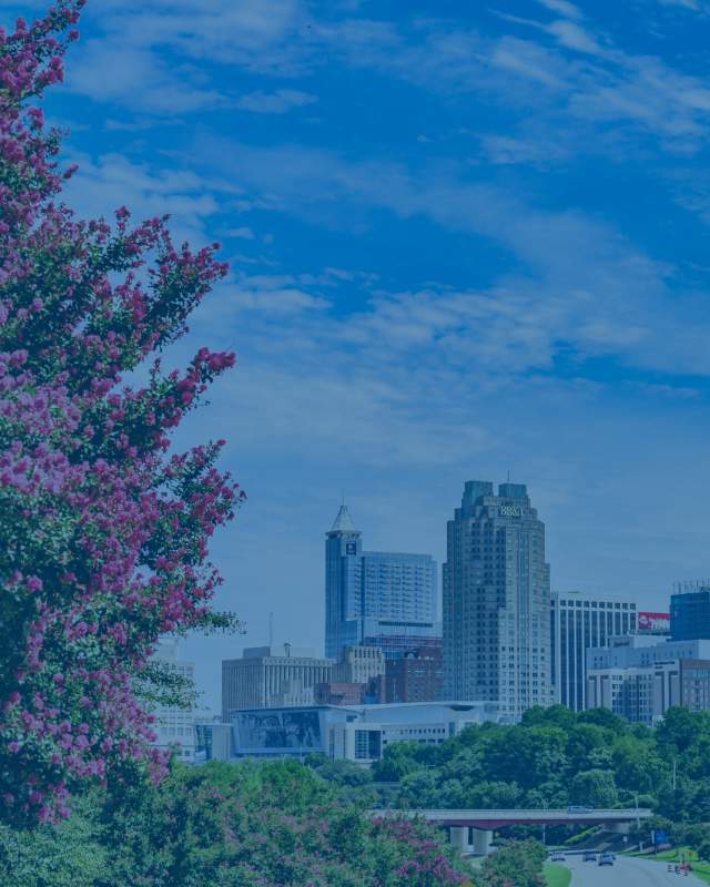 “Buildings in Raleigh, North Carolina with trees in the foreground.