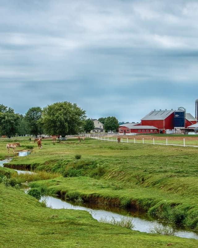 farm