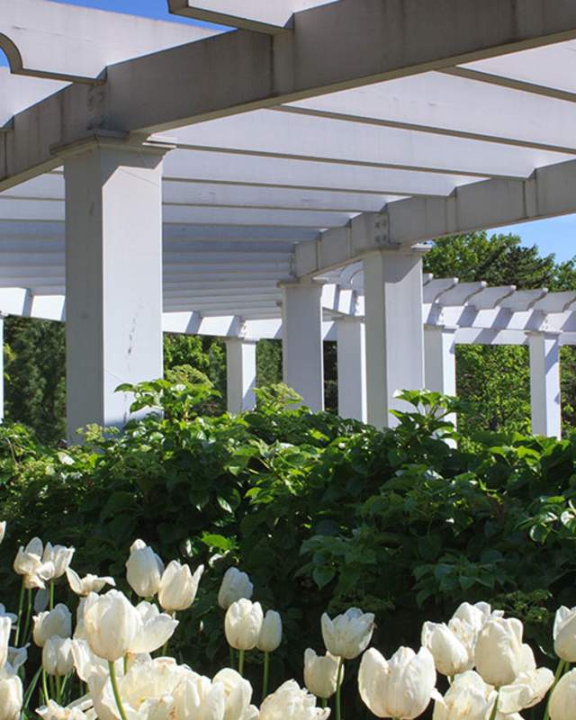 Gardens Arboretums