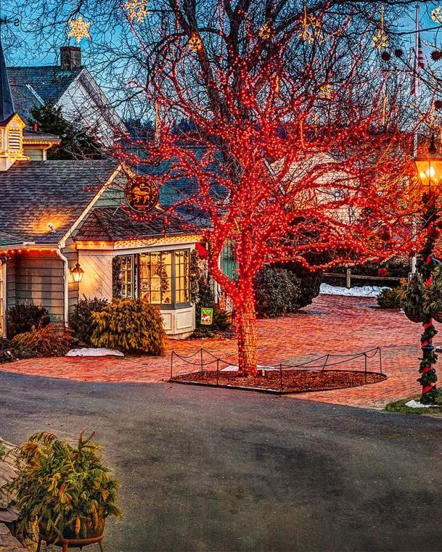 Christmas tree