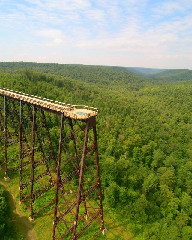 A large skywalk over top of a forest of trees on a sunny day