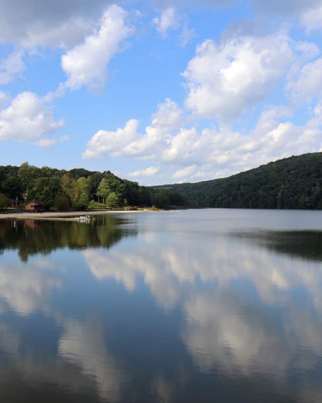A lake with trees around it on a sunny day