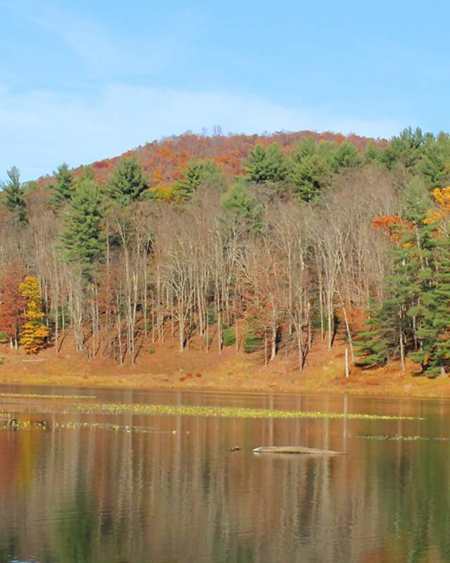 Leaf Peepers PA Wilds