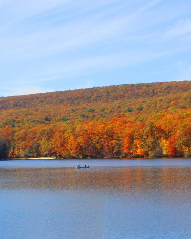 Leaf Peepers Upstate