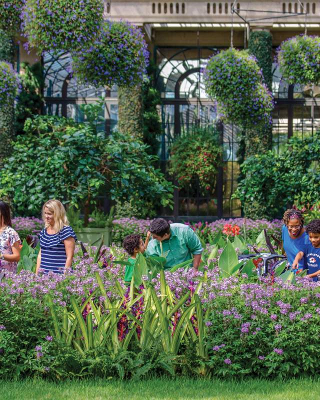 A group of adults and kids looking at tall flower beds in a conservatory