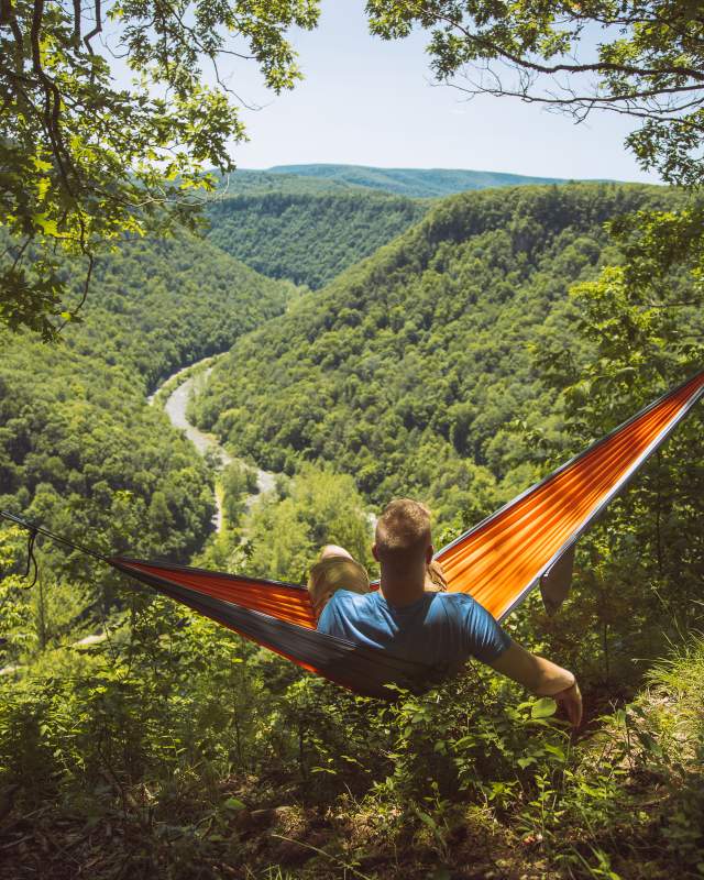 A man sitting in a hammock on a hill overlooking a beautiful forest of trees down below