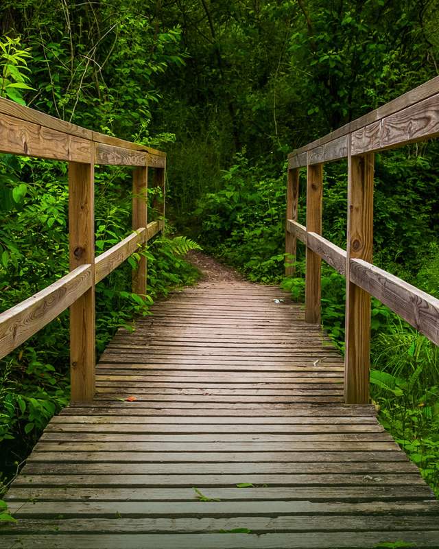 Bridge Trail Codorus State Park Nature