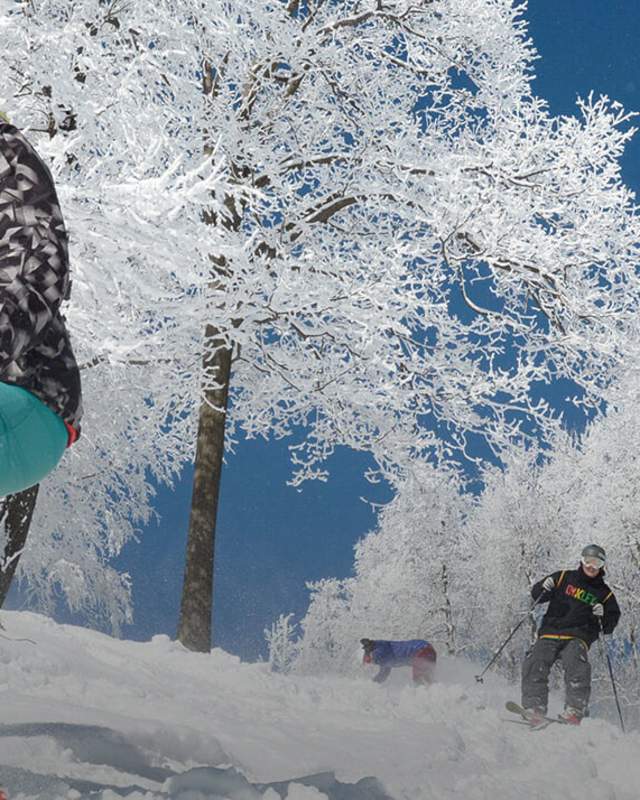 Skiing - Laurel Highland