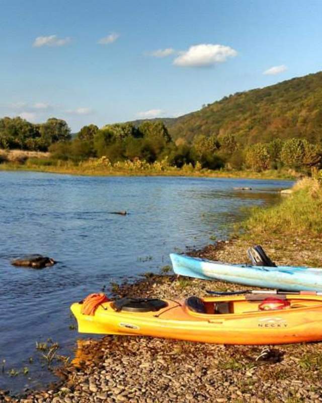 kayaks