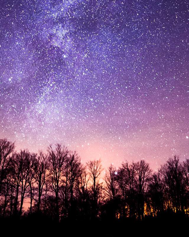 starry night