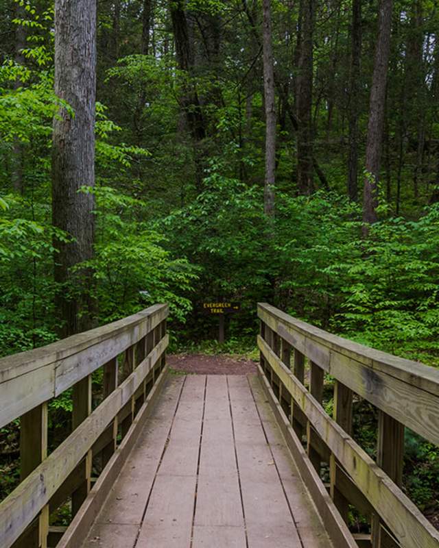 Pocono Mountains