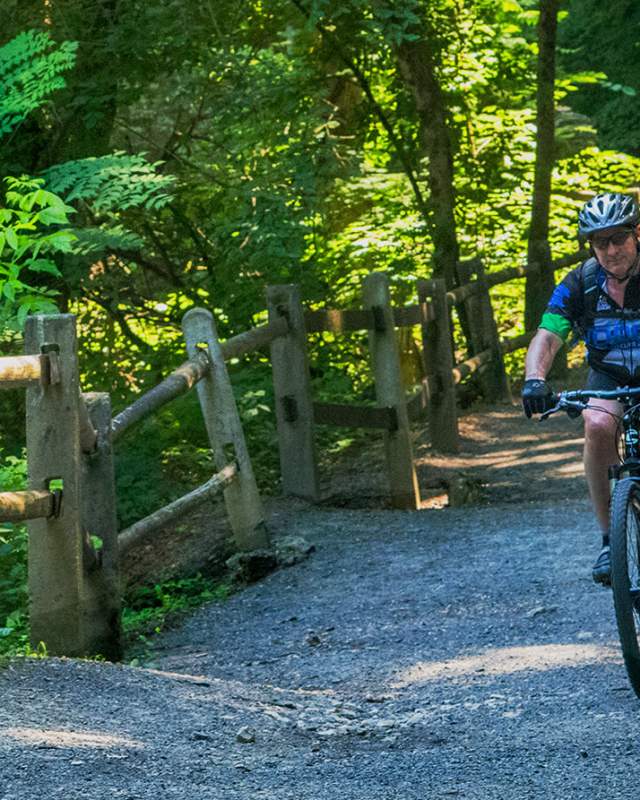 Biking Trail Park Nature