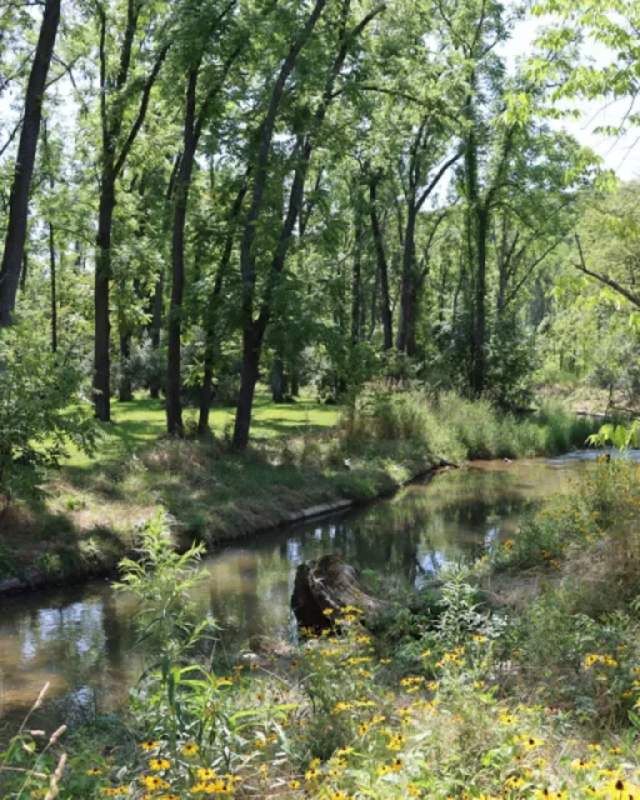 Turtle Creek in Union County