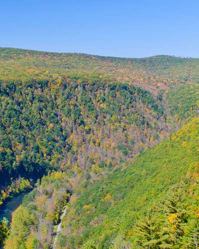 Tioga County