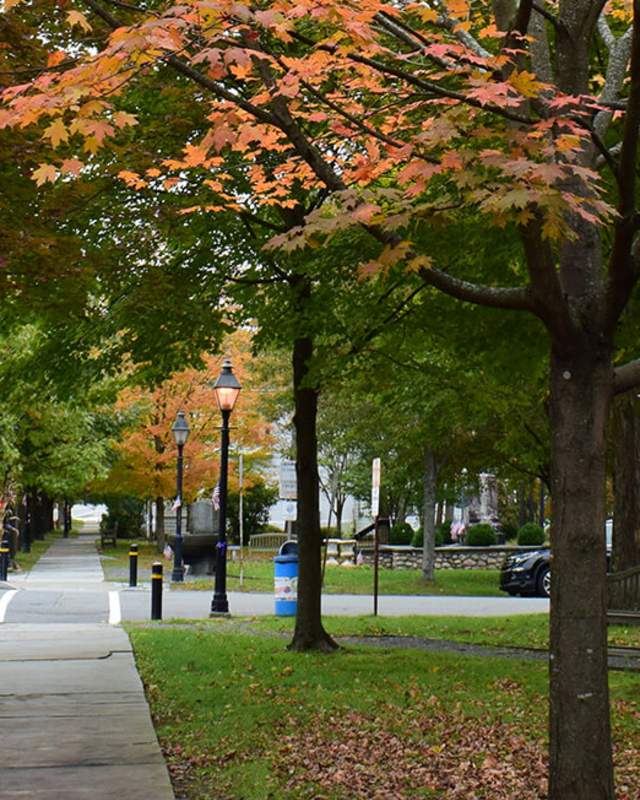 Poconos Milford fall