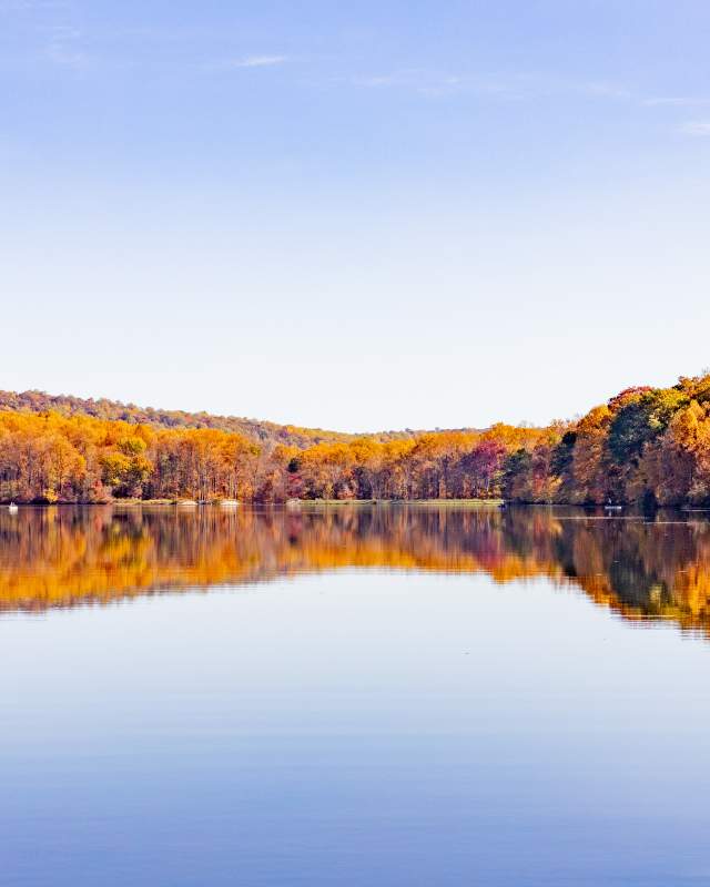 Fall Foliage at French Creek