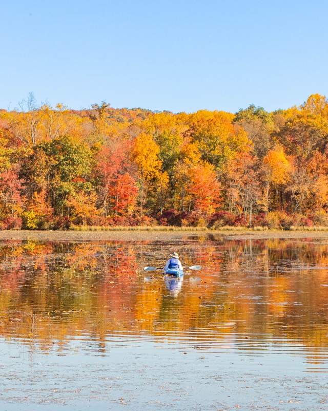Person kayaking on the lake at french creek with gorgeous fall leave in the background