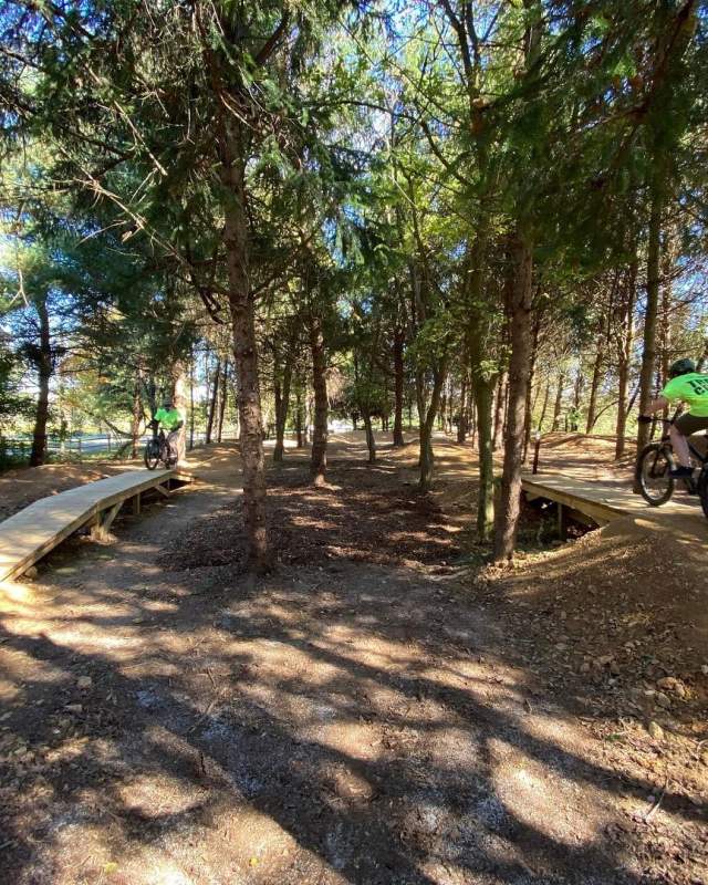 Biking Trails Fall