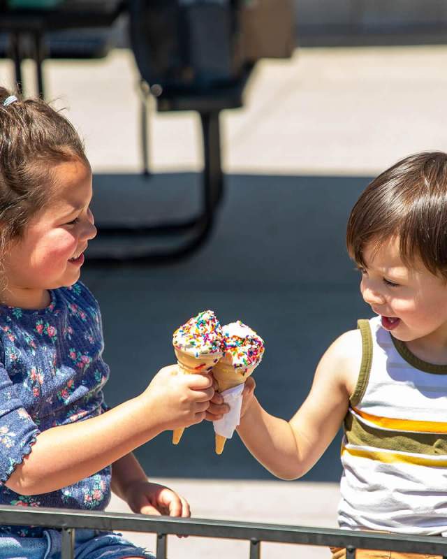 kids cheers-ing their ice cream cones from armadillos in rapid city sd
