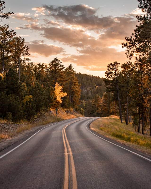 scenic road curving through the hills with sunset sky in the black hills of south dakota