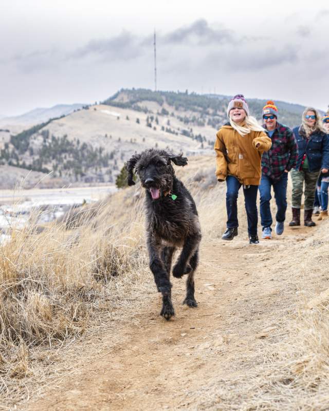 family hiking the trails of skyline wilderness area with dogs