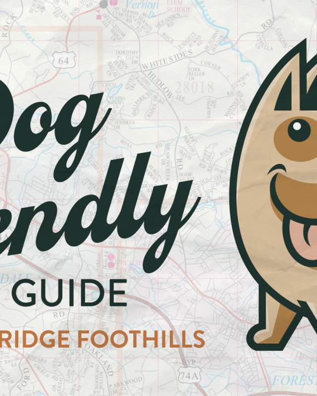 dog guide