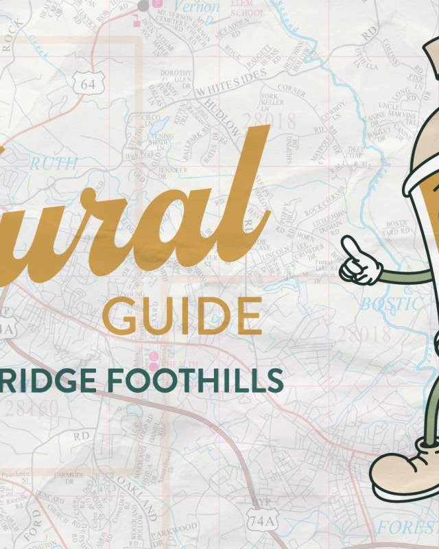 mural guide