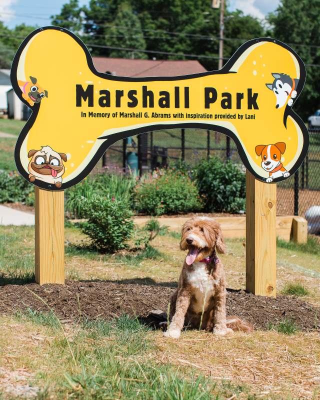Dog Park
