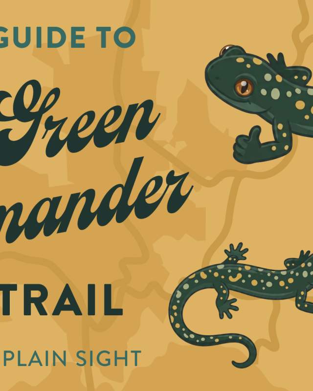 salamander 2