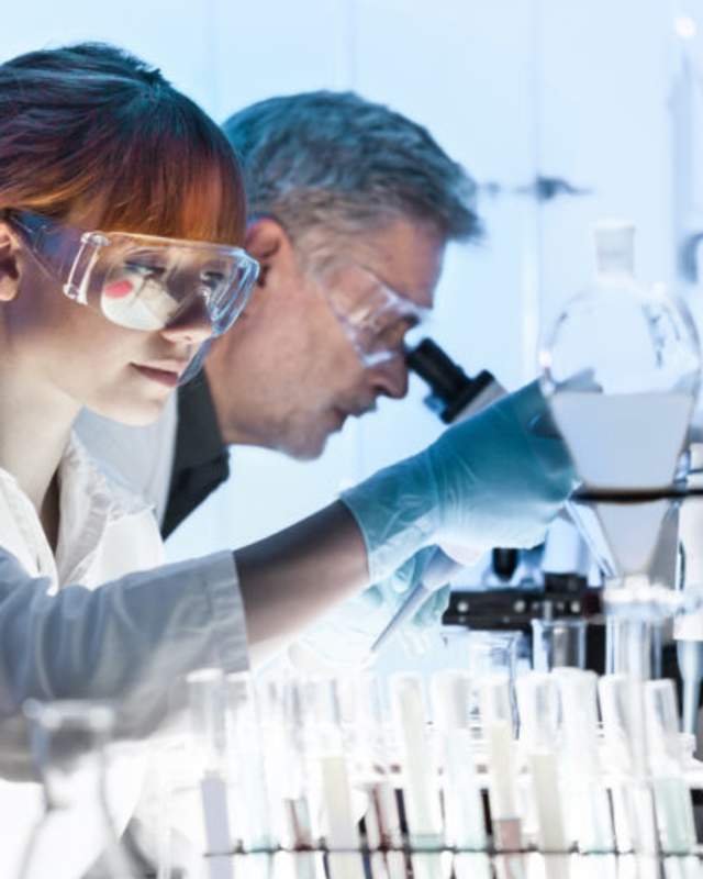 People working in laboratory