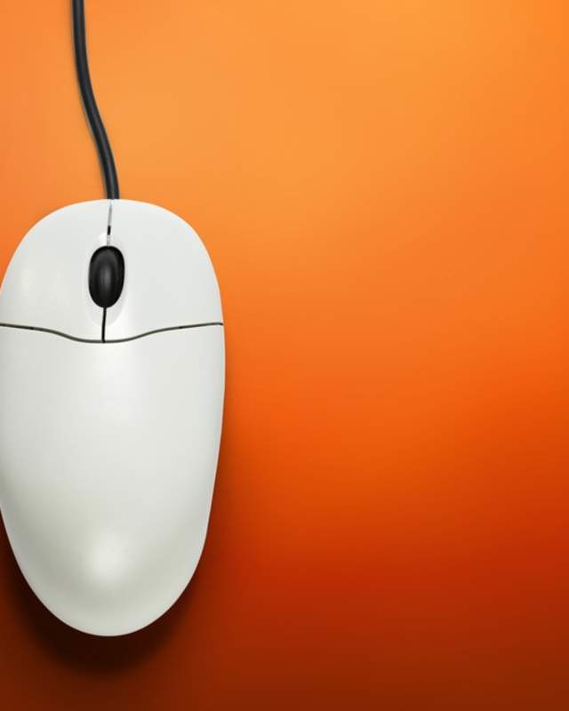 mouse