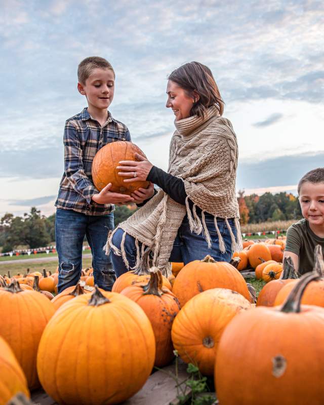 Burch Barn Pumpkin Patch