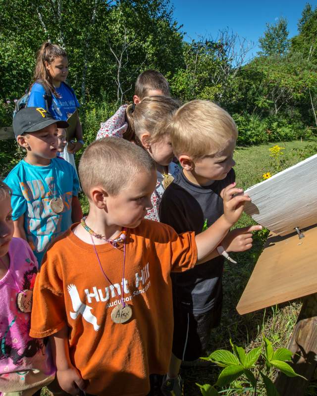 Kids Hiking & Wildlife Viewing - Hunt Hill