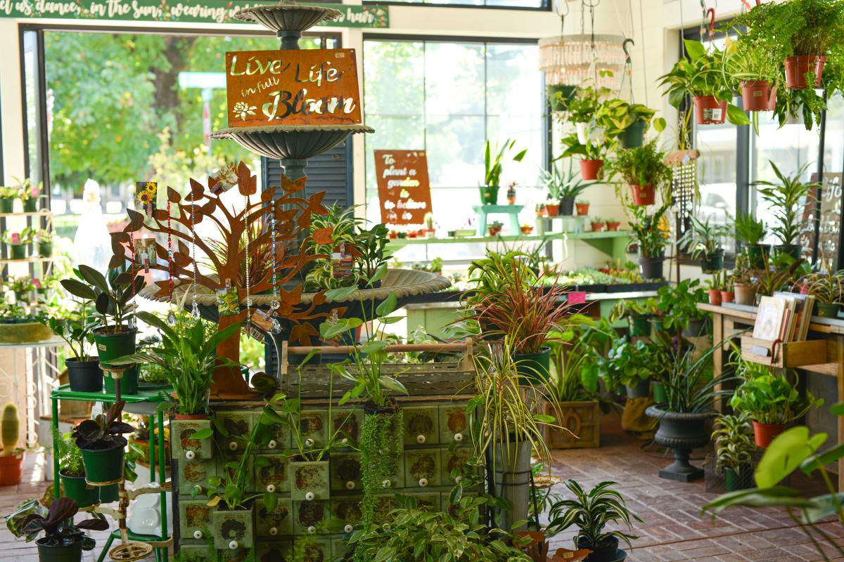 Coburg Farm Fancy Store by Melanie Griffin