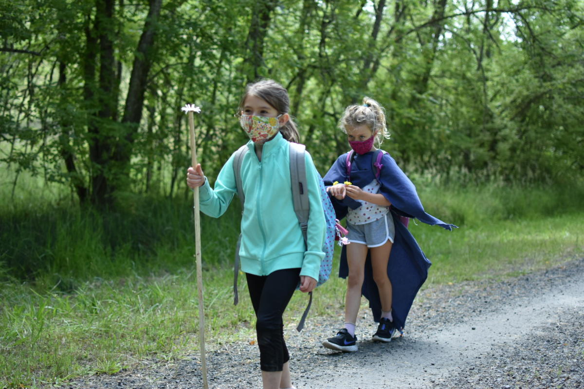 Hikers explore nature as part of Whole Earth Nature School 2020