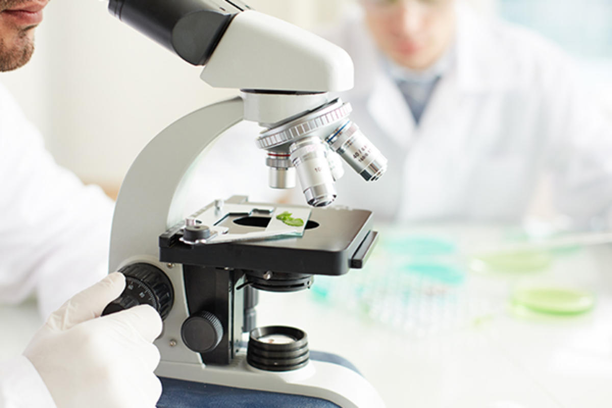 Clinician Studying Bio Sample In Microscope by Graphic Stock