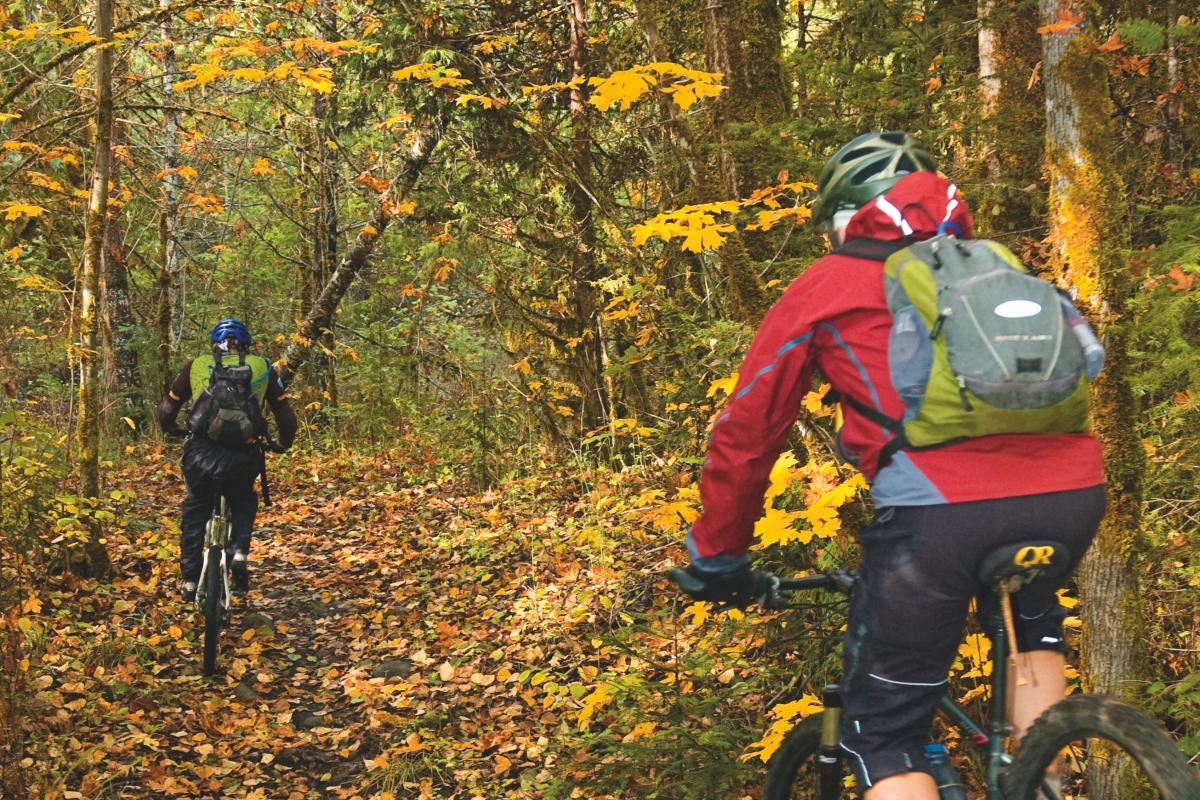 Oakridge Mountain Biking by Thomas Cobb