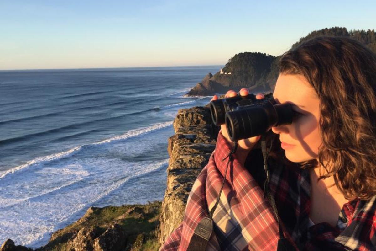 Whale Watching at Sunset