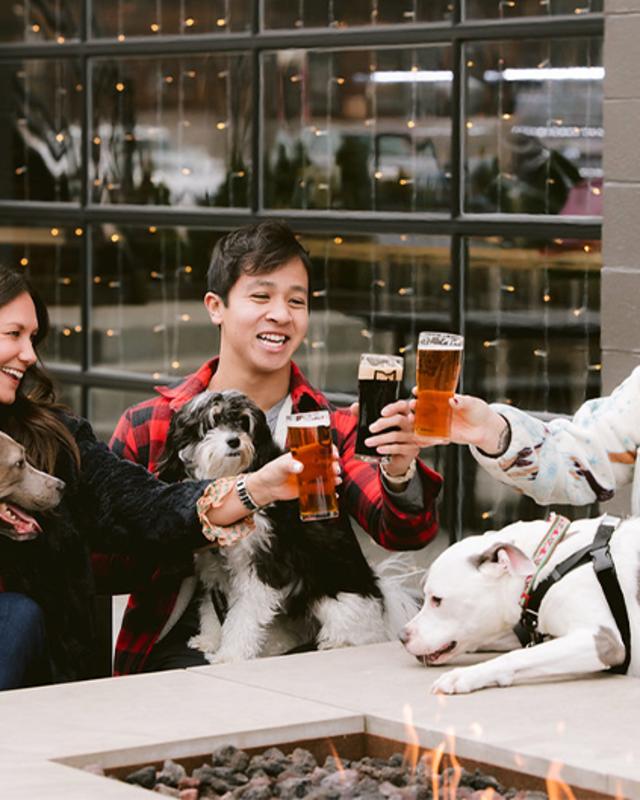 Dog Friendly Restaurants Breweries Diners and More