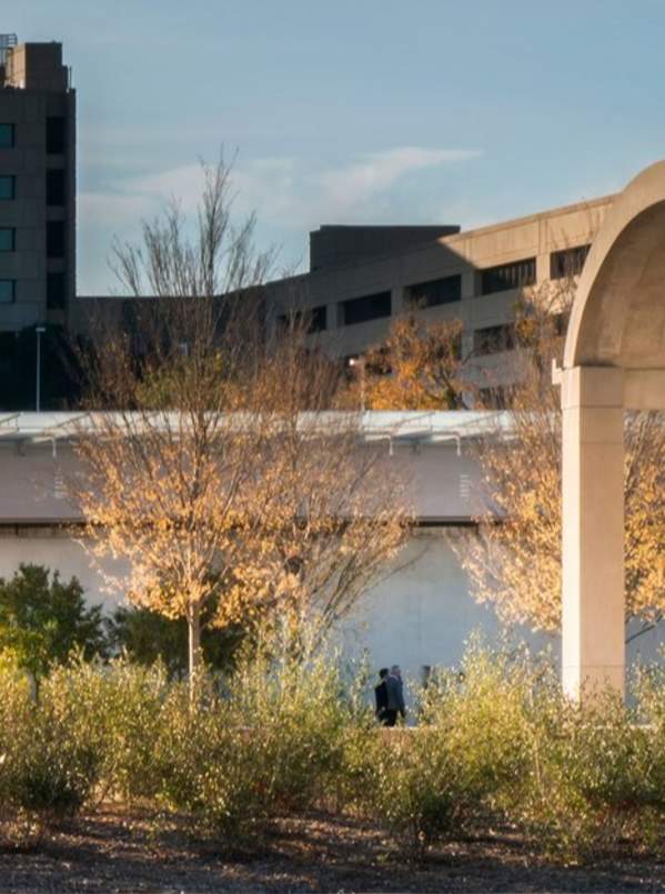 Top Free Things To Do in Fort Worth